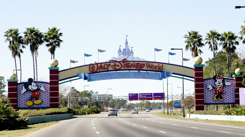 Disney Lyft Drivers Union