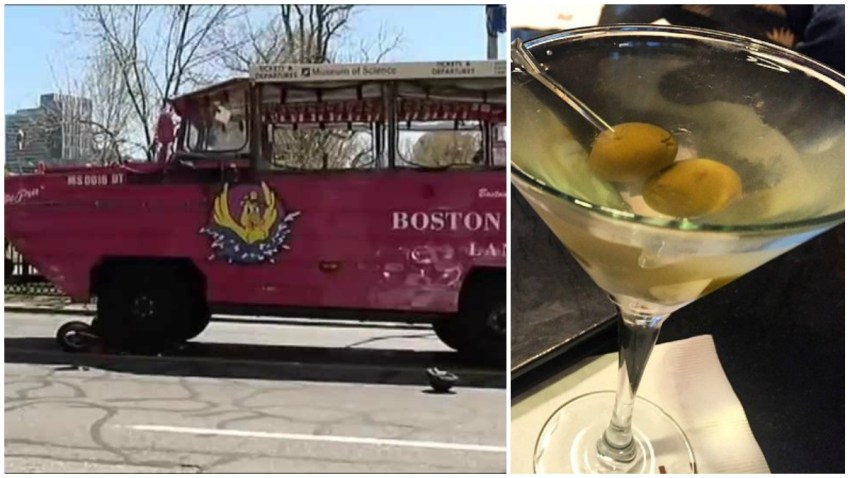 ducktini