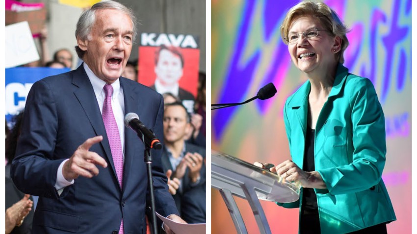 ed markey elizabeth warren 82019