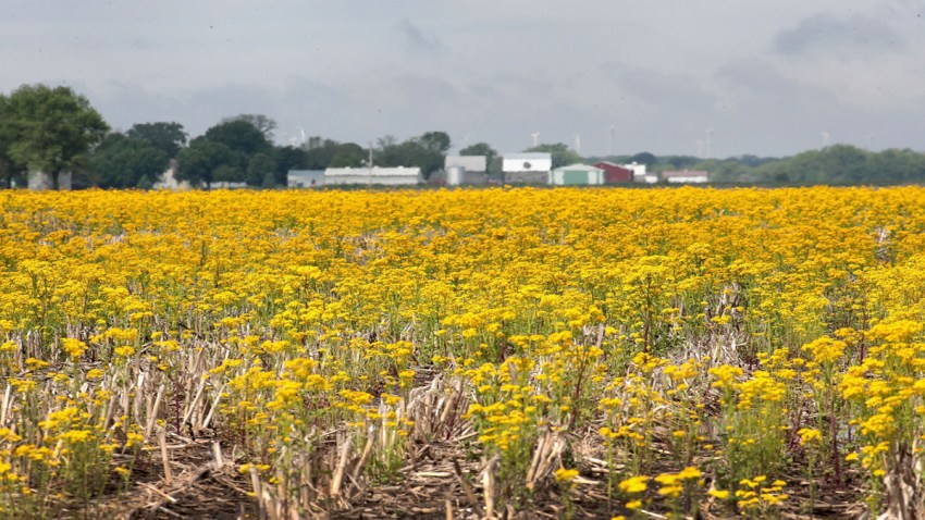 farm98746102946