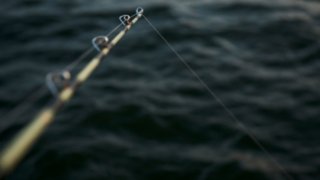 fishing pole