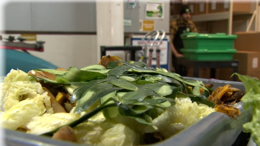 This Food Gets Converted Into Energy