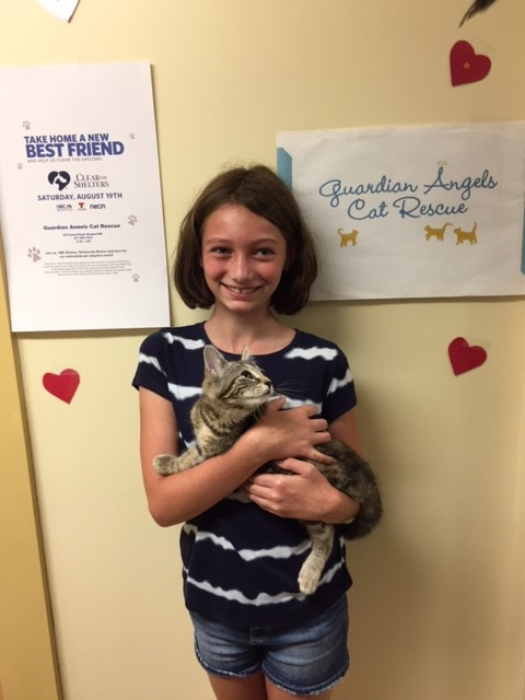 Nbc Boston Necn And Telemundo Help Clear The Shelters Nbc Boston