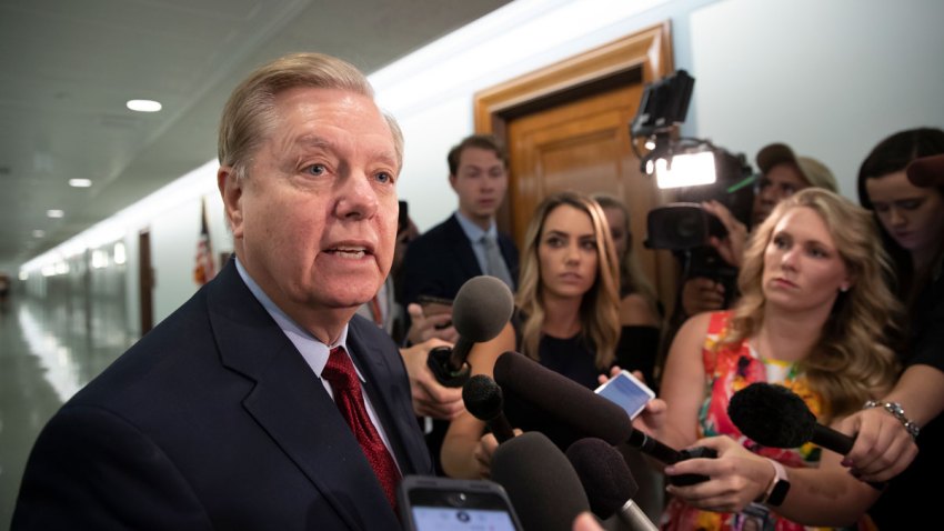 Senate Immigration