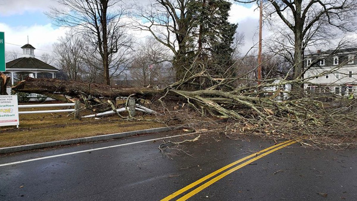 Strong Winds Cause Downed Trees, Power Outages in Some Communities ...