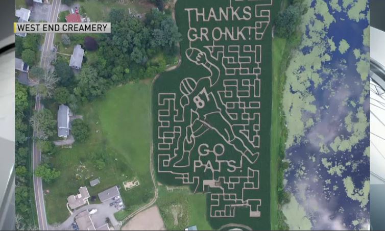 gronk corn maze