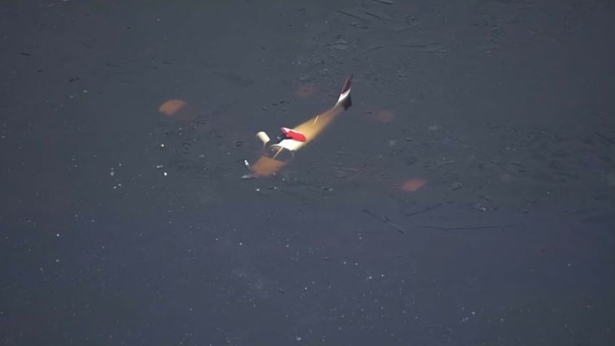 Small Plane Crashes Into Icy Mass. Lake, Pilot Rescued by Canoe – NBC ...