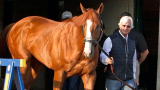 In this May 6, 2018, file photo, Justify, led by trainer Bob Baffert, emerges from Barn 33 to meet the public the morning after winning the 144th Kentucky Derby at Churchill Downs in Louisville, Ky.