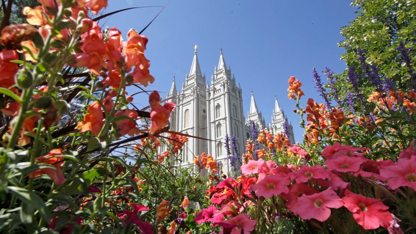 Mormons Health Code
