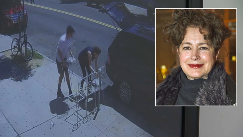 sean young surveillance