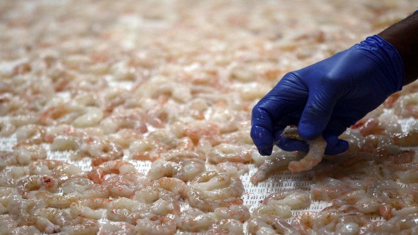 shrimp-generic-stock