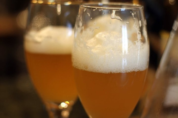 trilliumbos