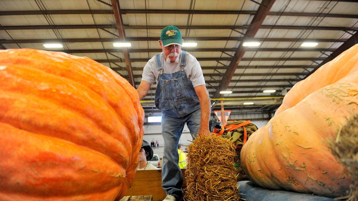 Topsfield Fair Kicks Off Friday, Bringing Food, Music and Giant Pumpkins