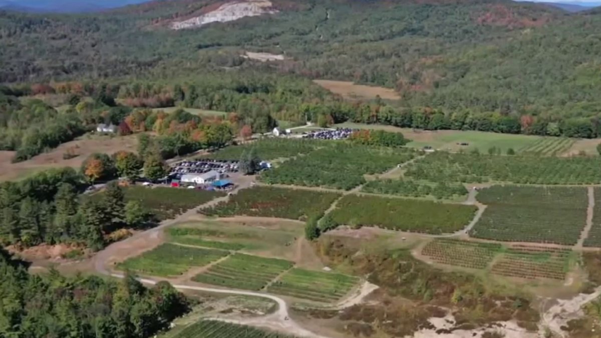Maine Apple Orchard Ranked Among Top in US NBC Boston