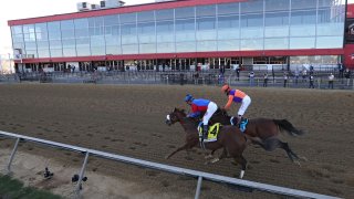 145th Preakness Stakes