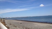 Short Beach