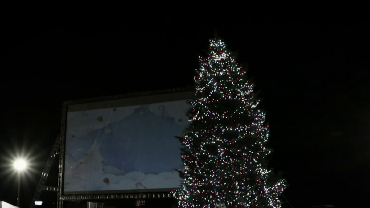 Students Eligible for Free National Forest Christmas Trees NBC Boston