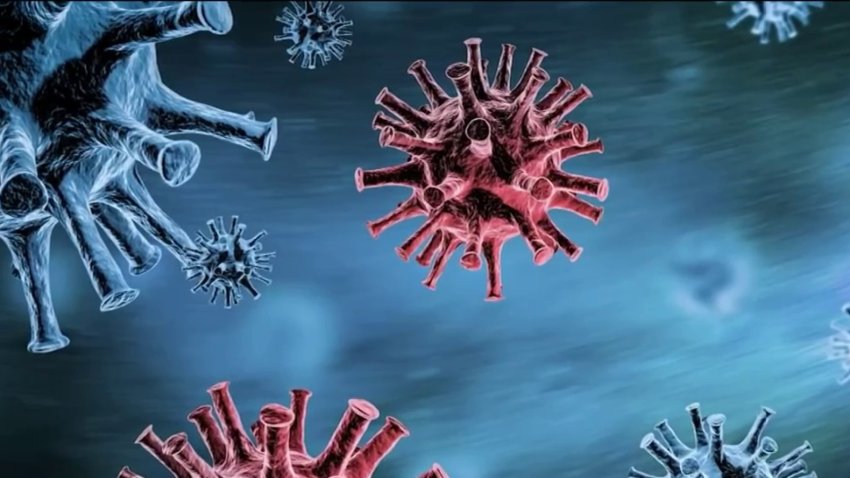 Weighing the Impact of the New Coronavirus Strain