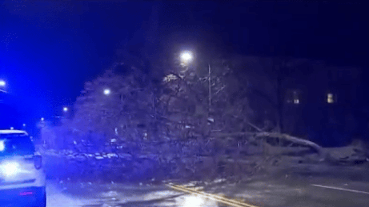 Cleanup Underway After Heavy Wind, Rain Leaves Thousands Without Power ...