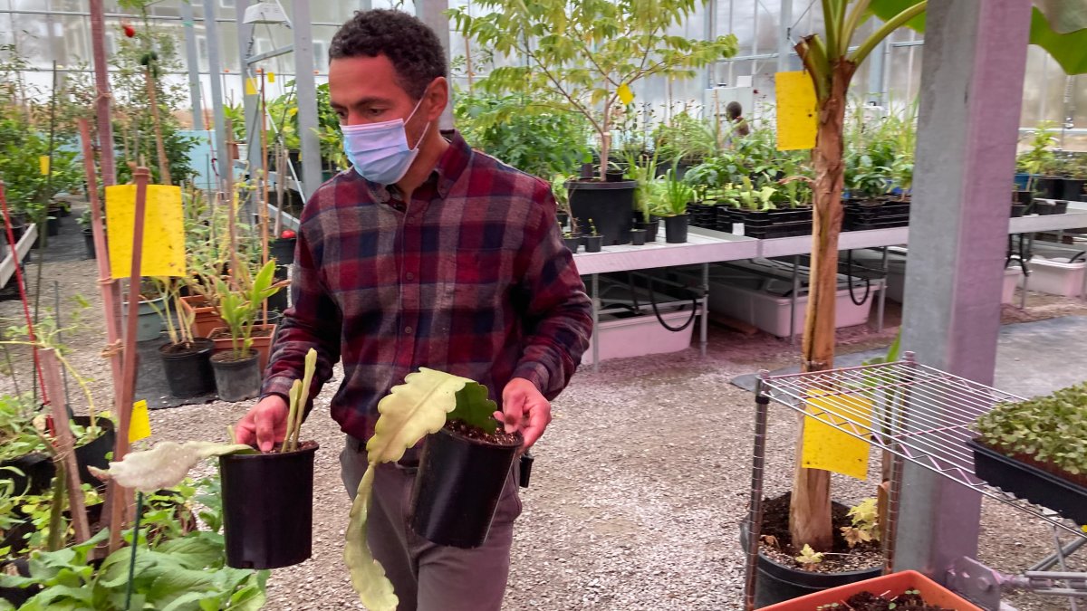 Is More PPP Help Coming for Mass. Businesses? NBC Boston