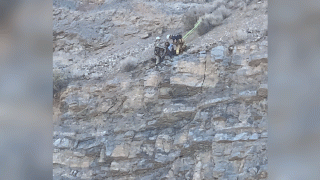 A hiker is rescued after surviving a fall of more than 100 feet near the base of Ensign Peak in Utah.