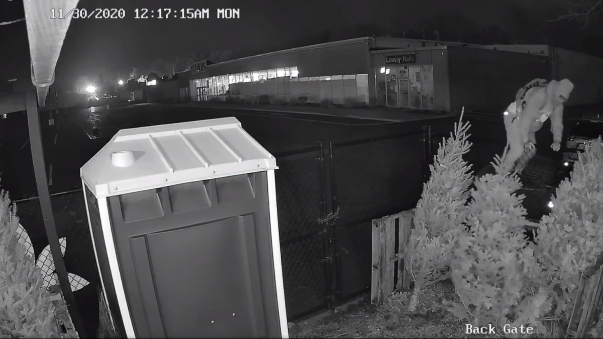 Garden Patch Raynham Suspect Steals Christmas Decorations, Cash From