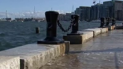 Sea Level Being Studied at Clippership Wharf in Boston