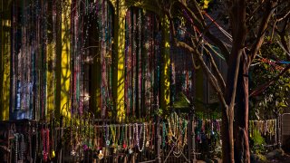 a house in Bywater festooned with beads during Mardi Gras in New Orleans, Louisiana.