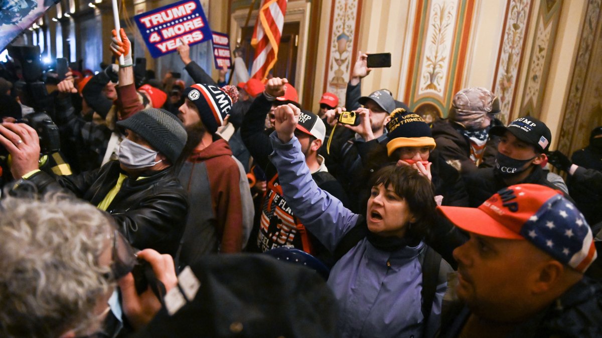 Massachusetts Capitol Riot Arrests: Suzanne Ianni of Natick, Mark ...