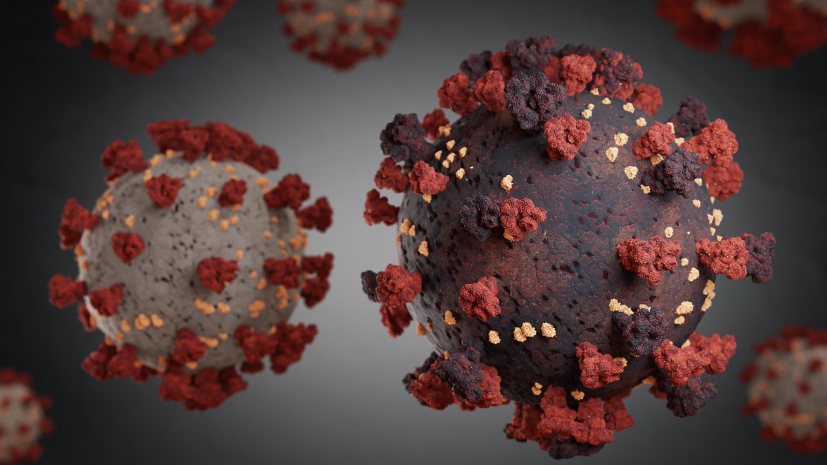 COVID Variants in Massachusetts Coronavirus Cases Rising NBC Boston
