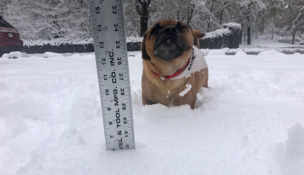 How Much Snow Did We Get In New England This Winter Nbc Boston