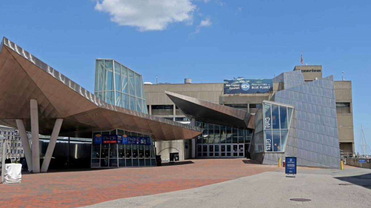 New England Aquarium to Reopen Friday With Restrictions in Place NBC