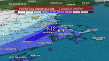 Expected snowfall totals from a storm passing over New England Sunday, Feb. 7, 2021.