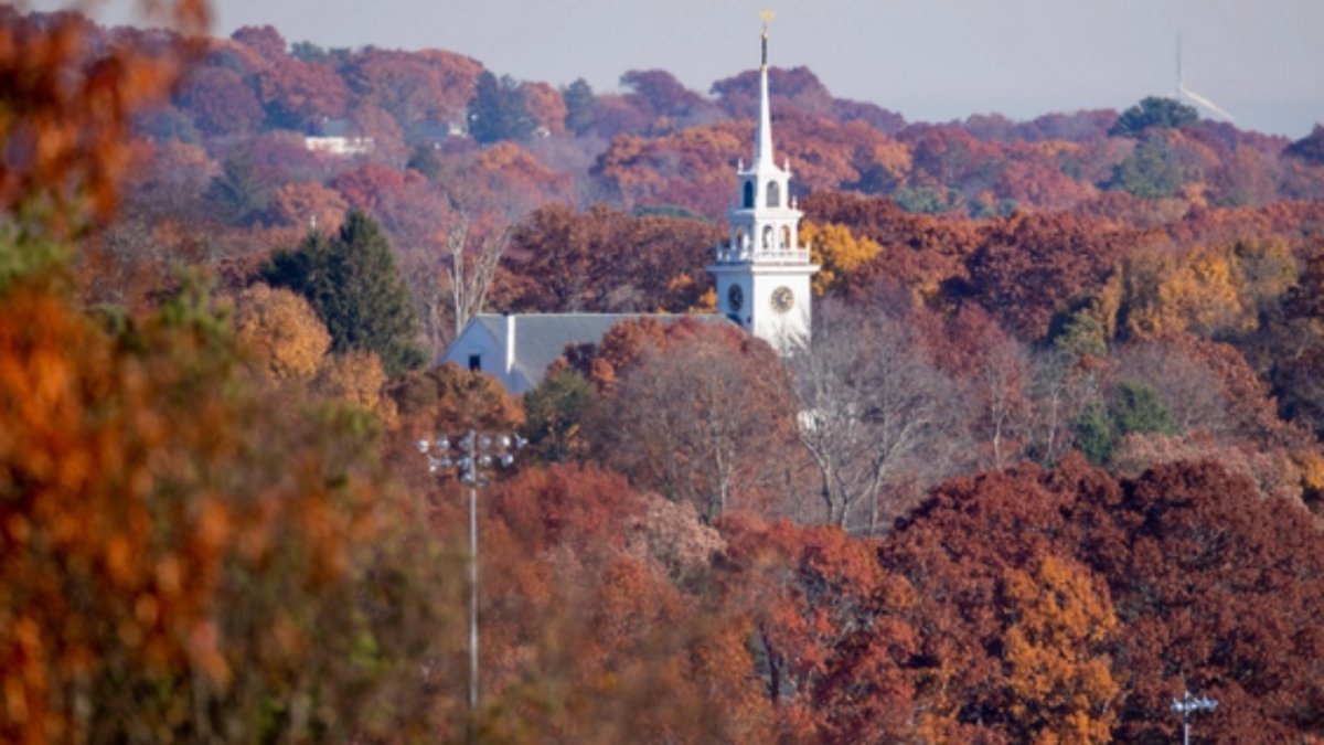 10 Fun Things to Do in Hyde Park While Social Distancing NBC Boston