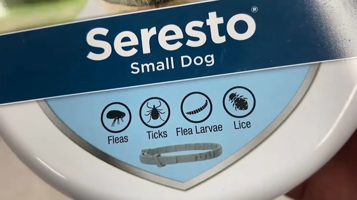 EPA Investigating Pet Incidents Involving Seresto Collars NBC Boston