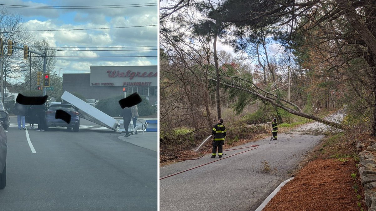 High Winds Bring Trees Down Friday, Could Drop Temps Saturday Morning ...