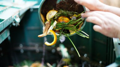 Save Food Scraps and Compost Them! Here's How