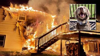 The fire significantly damaged the Glen Street home, according to the Westborough Fire Department, but there were no injuries.