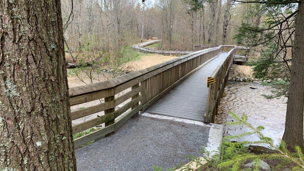 Robert Frost Interpretive Trail in Ripton, Vermont Has New Accessible Features NBC Boston