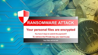 When Ransomware Strikes, This Company Helps Victims Make Bitcoin Payments