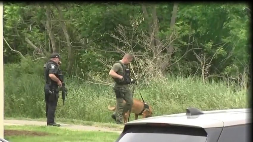 Shootout Leaves 2 Officers Hurt, Suspect and Police Dog Dead