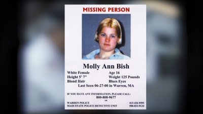 Unresolved: The Detective Finding Molly Bish's Killer – NBC Boston