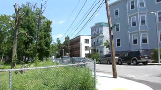 The scene of a deadly shooting on Danube Street in Boston’s Dorchester neighborhood