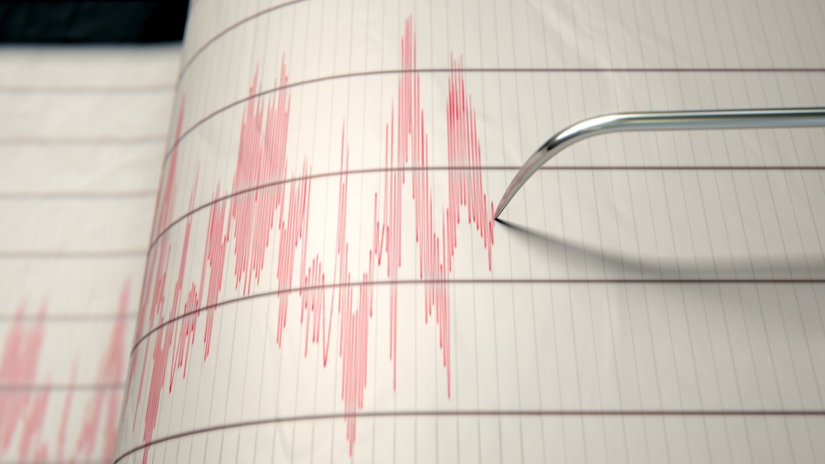 Did you feel it? Early-morning earthquake reported in southern NH The quake was felt across northern New England and even into parts of Canada. By Marc Fortier and Tevin Wooten • Published 1 minute ago • Updated 53 seconds ago