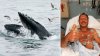 Mass. Lobster Diver Survives After ‘a Humpback Whale Tried to Eat Me'