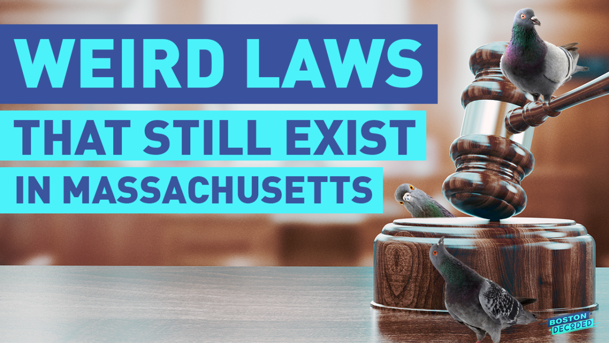 weird-massachusetts-laws-we-rated-15-by-craziness-nbc-boston