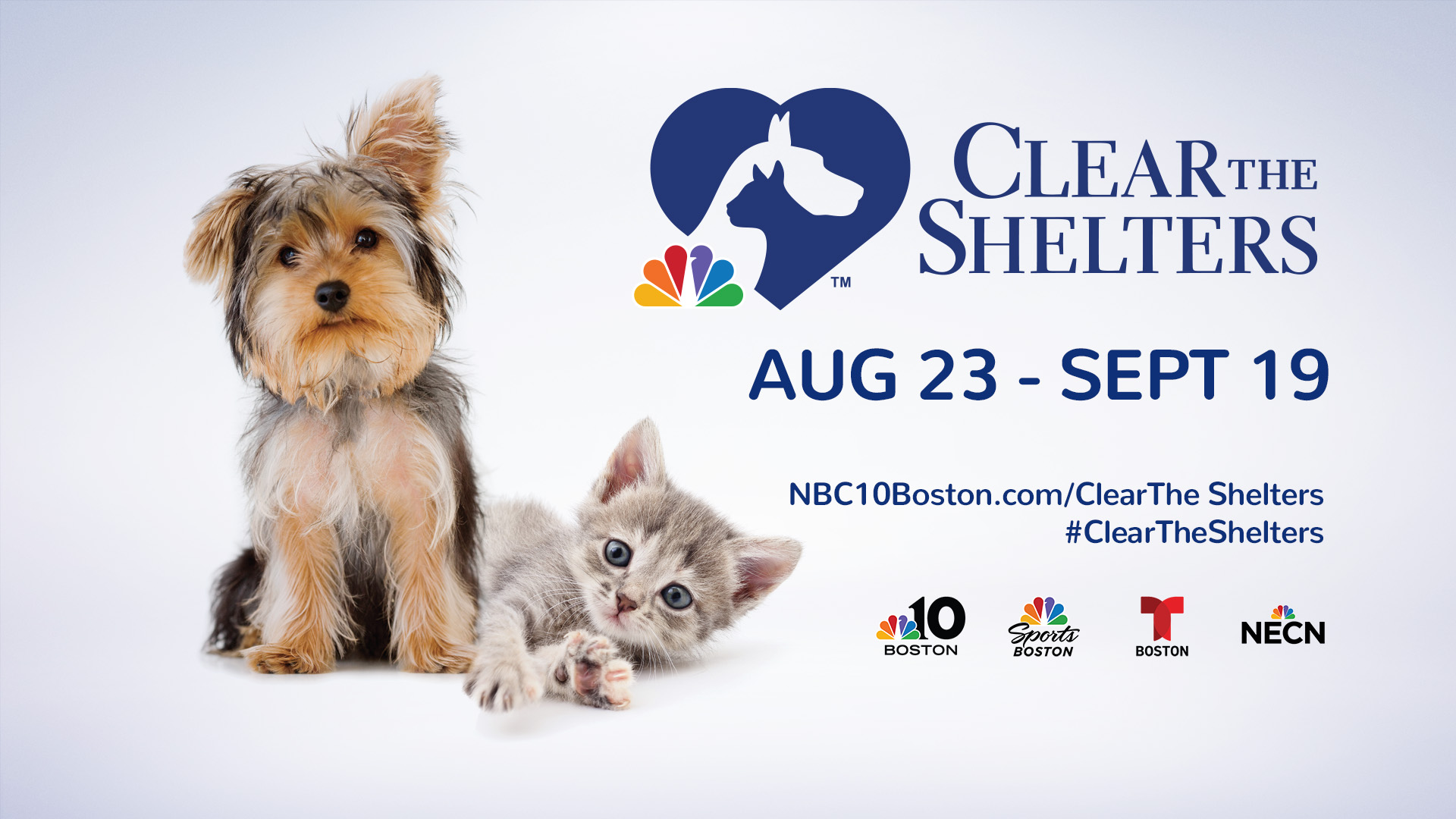 NBCU Local Boston Stations Launch Clear the Shelters 'Adopt & Donate'  Campaign – NBC Boston