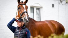 Steffen Peters and Suppenkasper CDIO5* jog horse inspection Wednesday, July 17, 2019 CHIO Aachen
