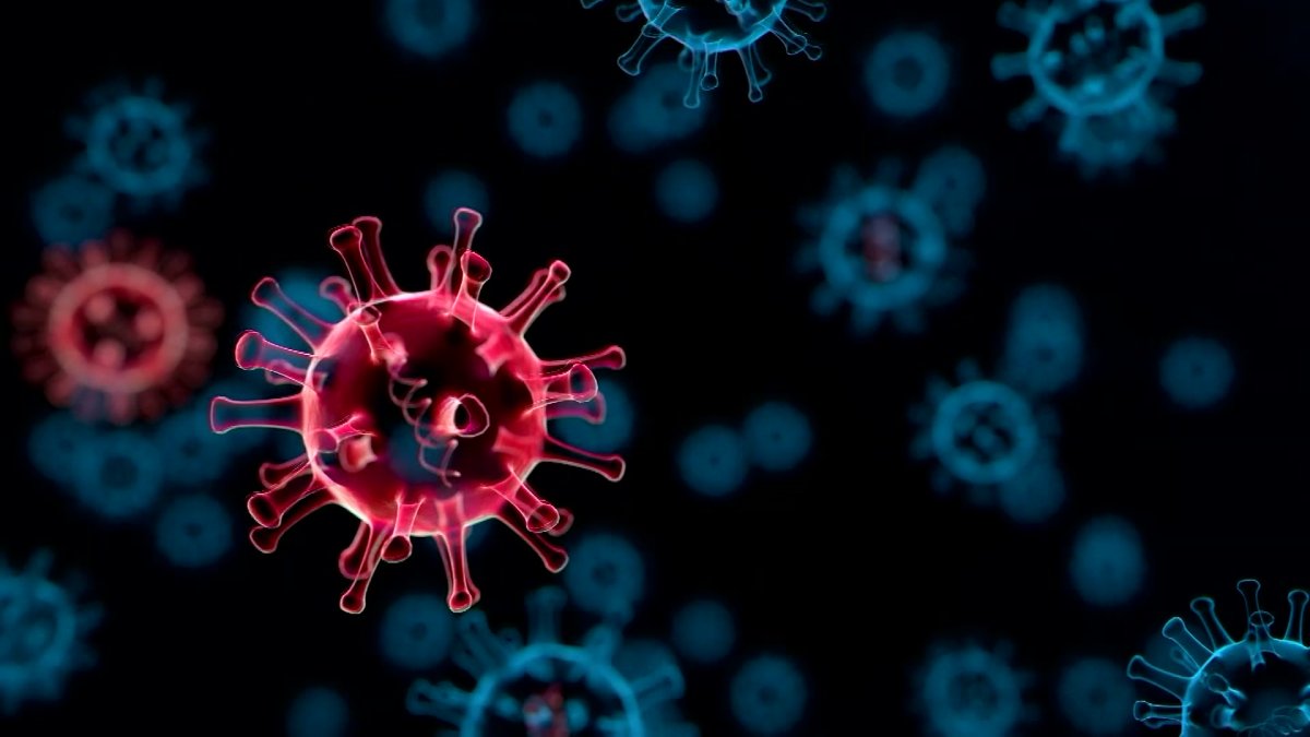 COVID Outbreak Forces Closure at Massachusetts Middle School NBC Boston