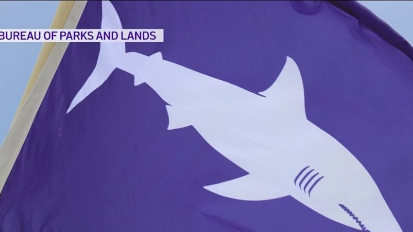 Maine Uses New Shark-Warning System a Year After the State's First Deadly Attack